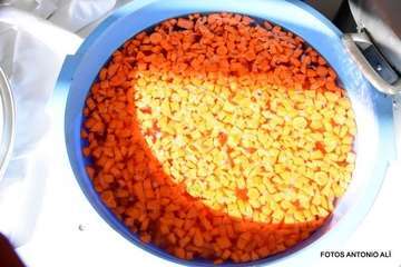 Jinámar celebra el Día del Artesano y el Labrador (Foto Antonio Alí)